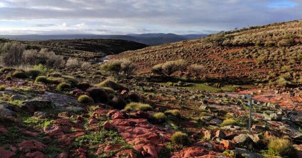 Mark Bonnin Walking Trails Mark bonnin walking trails