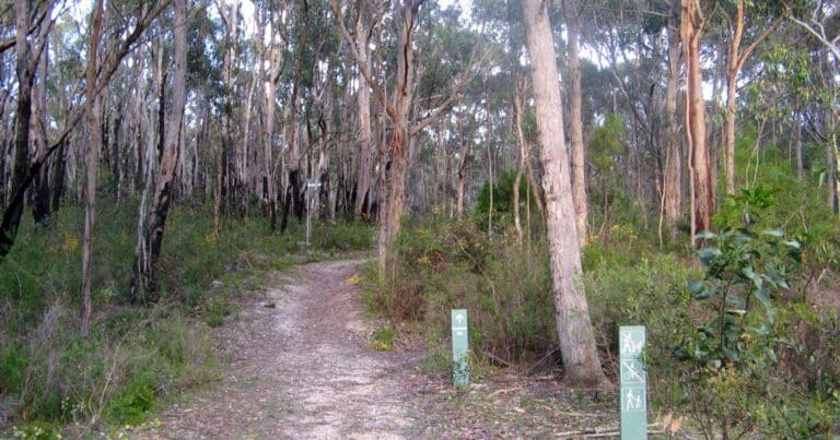 Mark oliphant conservation circuit