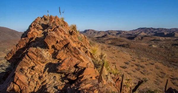 Arkaroola: Mawson Spriggina Walk (8km) Arkaroola: mawson spriggina walk (8km)