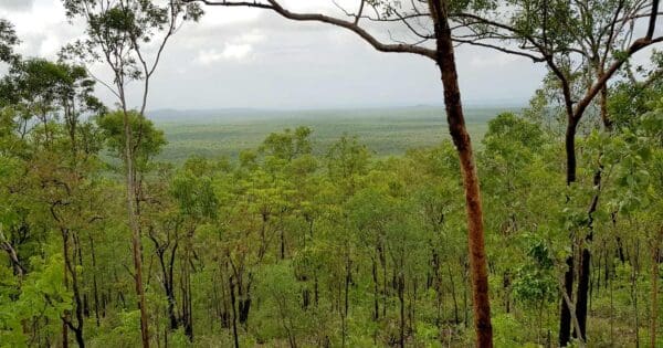 Mirray Lookout Walk Mirray lookout walk