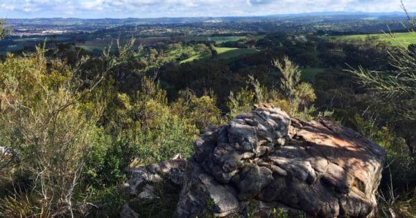 Mount Barker Summit Circuit Walk Mount barker summit circuit walk