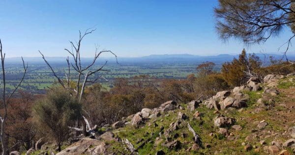 Mount Glenrowan Summit Mount glenrowan summit