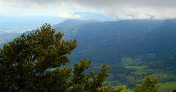 Mount hobwee circuit hike