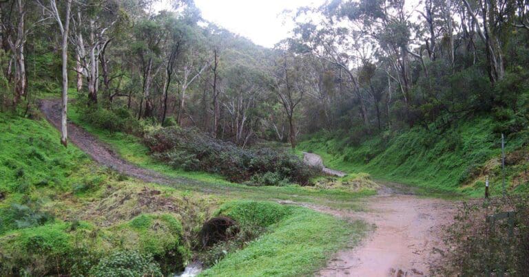 Mount Lofty Summit from Chambers Gully Mount lofty summit from chambers gully