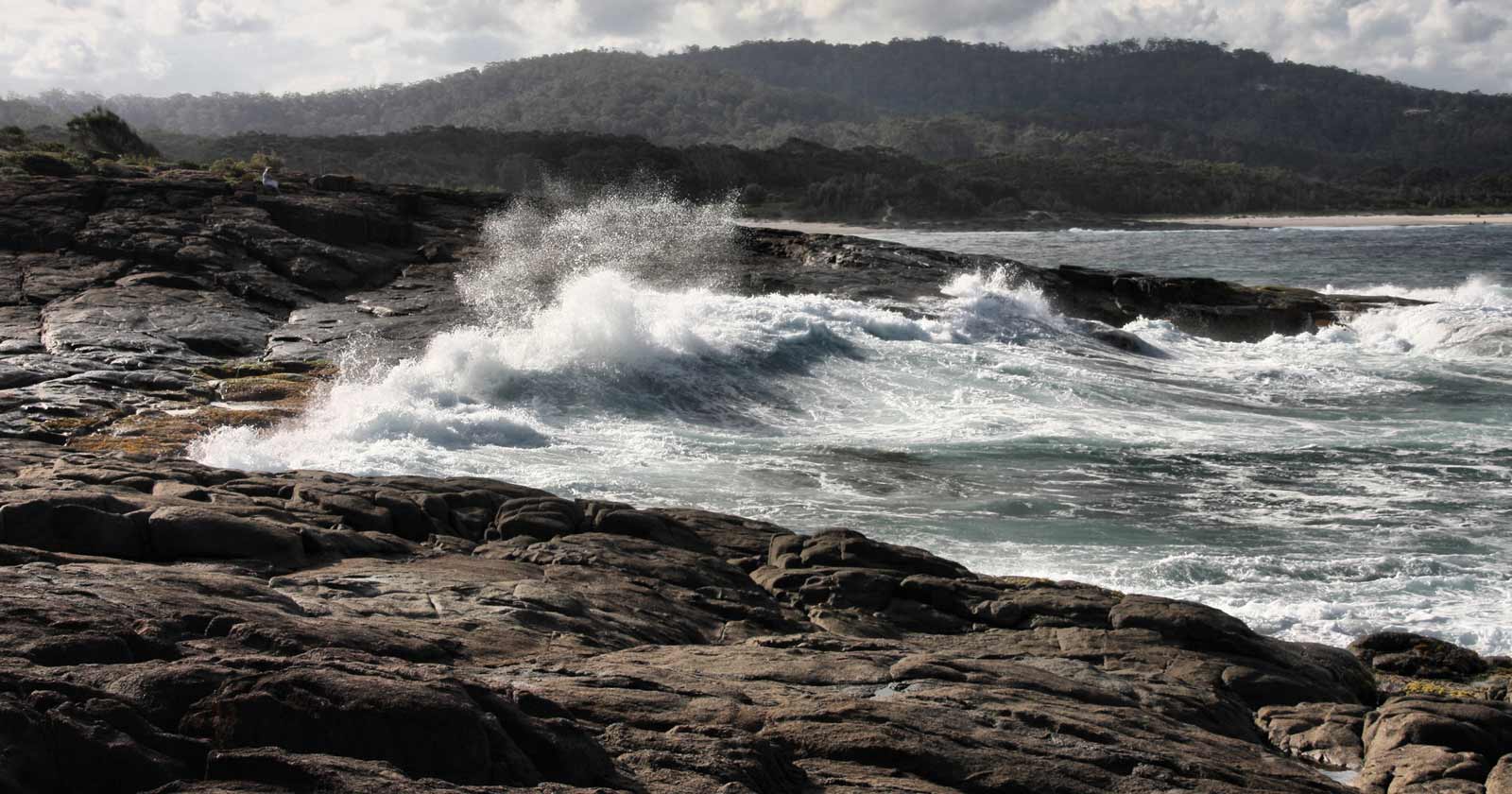 Murramarang south coast walk