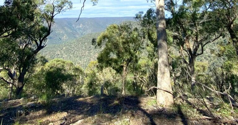 Orange Track Bungonia National Park Orange track bungonia national park