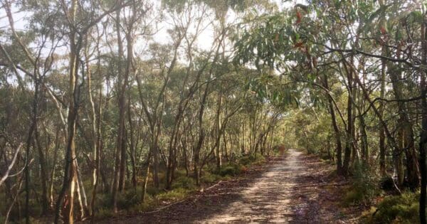 Para wirra horseplay trail