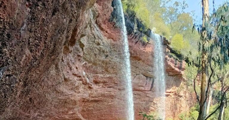 Paradise Falls Paradise falls