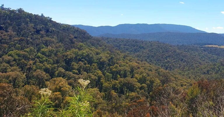 Paradise Falls to McMillan's Lookout Paradise falls to mcmillan's lookout
