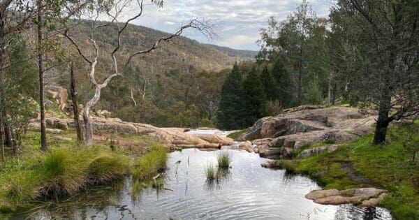 Pine gully nature trail
