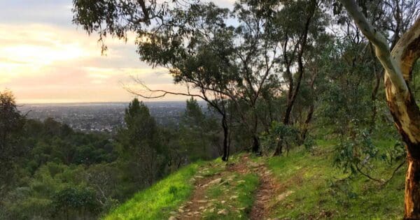 Randell Park Reserve Walk Randell park reserve walk