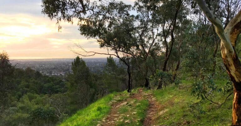 Randell Park Reserve Walk Randell park reserve walk