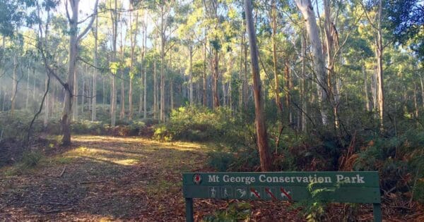 Ridge trail, mount george conservation park