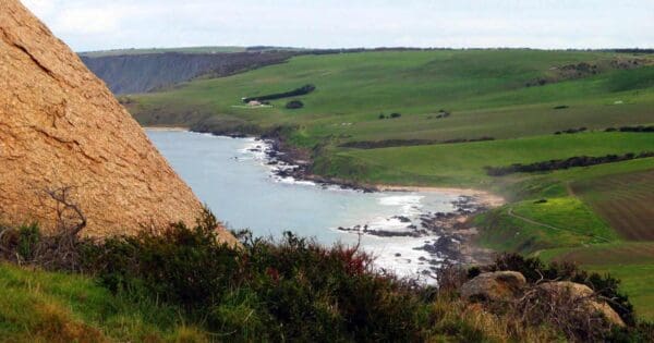 Rosetta Circuit the Bluff Rosetta circuit the bluff
