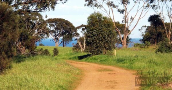 Seaview Circuit Walk Seaview circuit walk