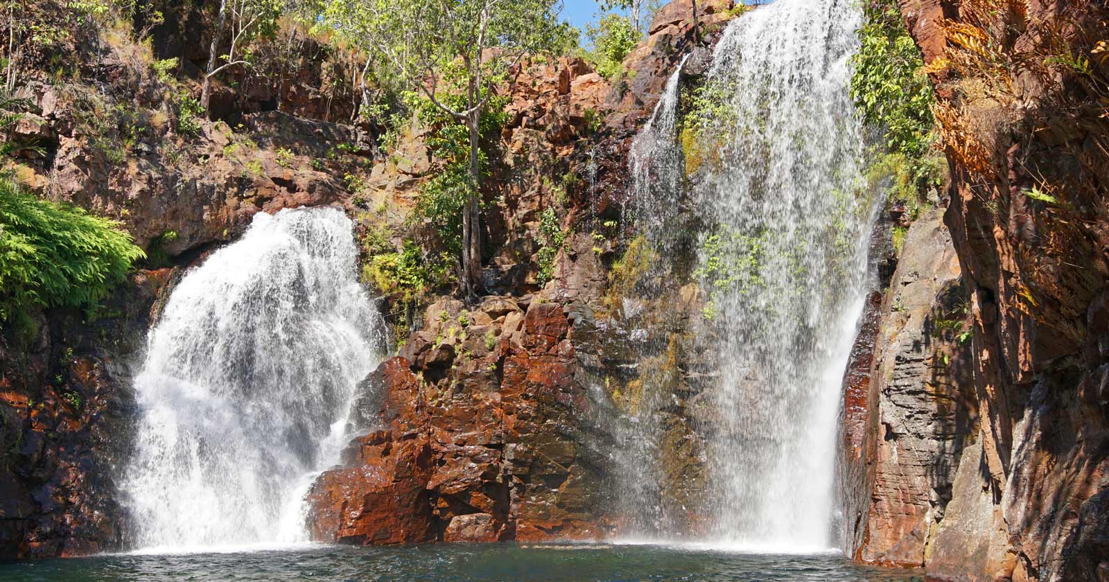 Shady creek and florence falls walk