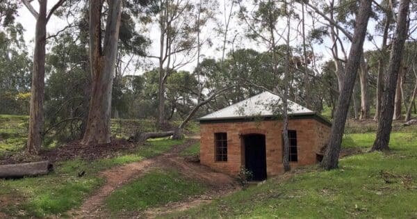 The Pines Kapunda Long Walk The pines kapunda long walk