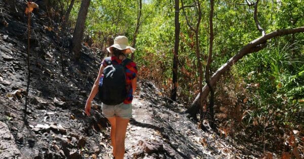 Hikes Tjaynera sandy creek walk 600x315