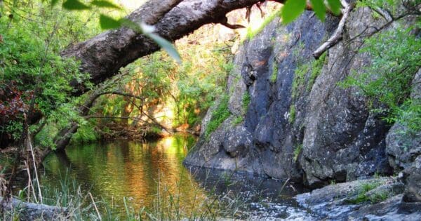 Upper sturt gorge river circuit