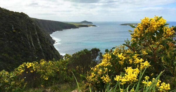Waitpinga Cliffs to Kings Beach Waitpinga cliffs to kings beach