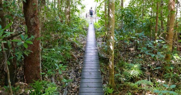 Walker Creek Walk Walker creek walk