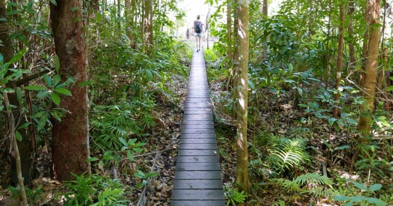 Walker creek walk