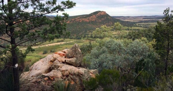 Warren Gorge Circuit Walk Warren gorge circuit walk