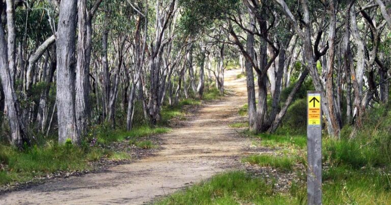 Waterfall gully to mt lofty summit