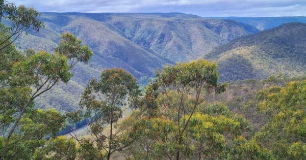 White Track Bungonia National Park White track bungonia national park