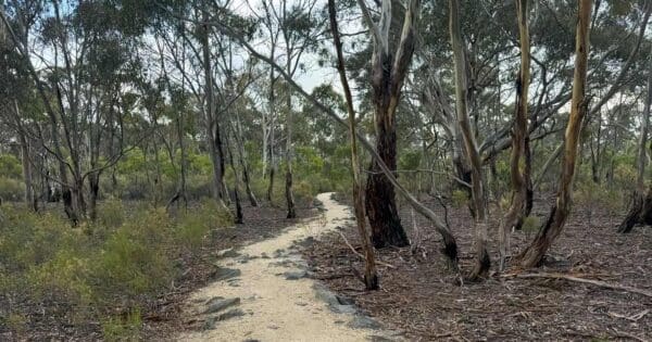 Branding yard trail