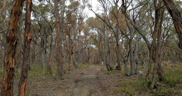 Brisbane ranges loop victoria