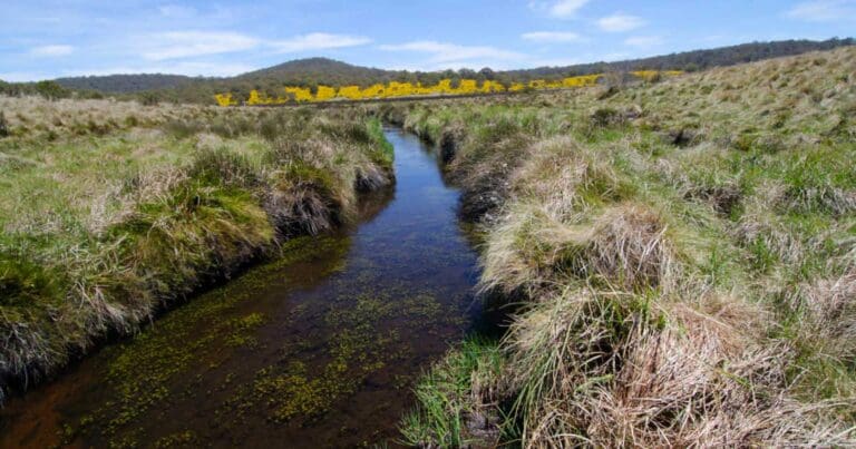 Find a hike or bushwalk