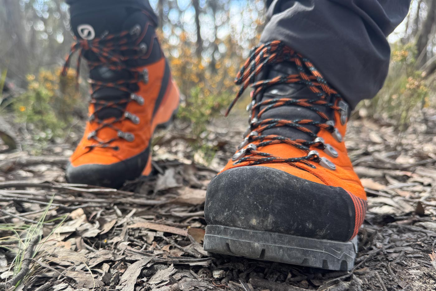 Close-up of full grain leather hiking boots with reinforced rubber toe caps, showing abrasion resistance on a forest track.