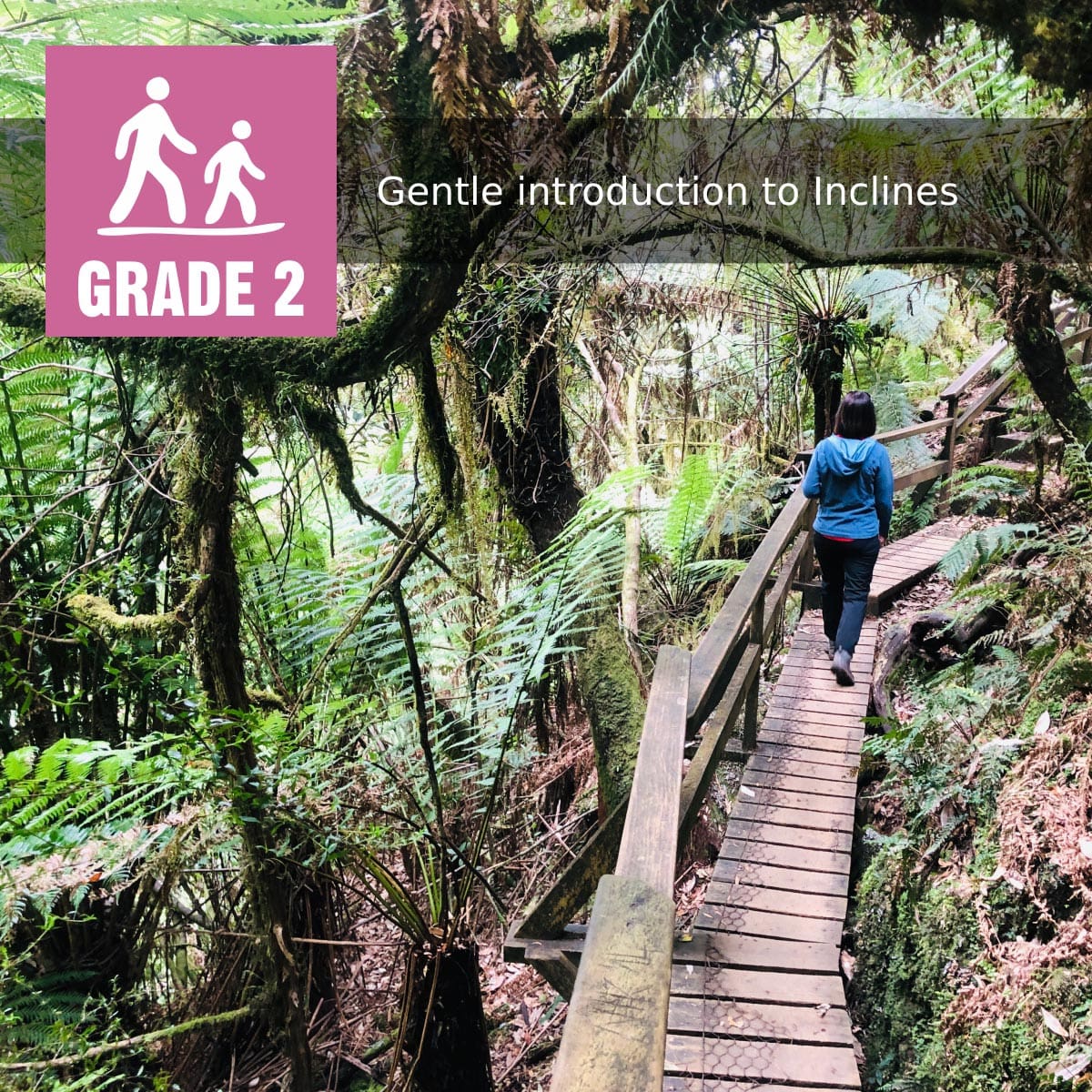 Grade 2 (easy) walking track