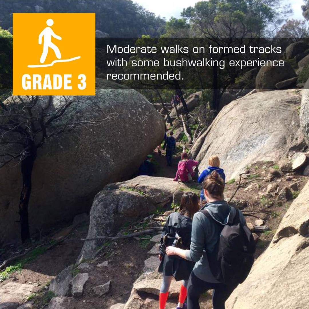 Grade 3: group of walkers navigating a rocky boulder section on a grade 3 walking track