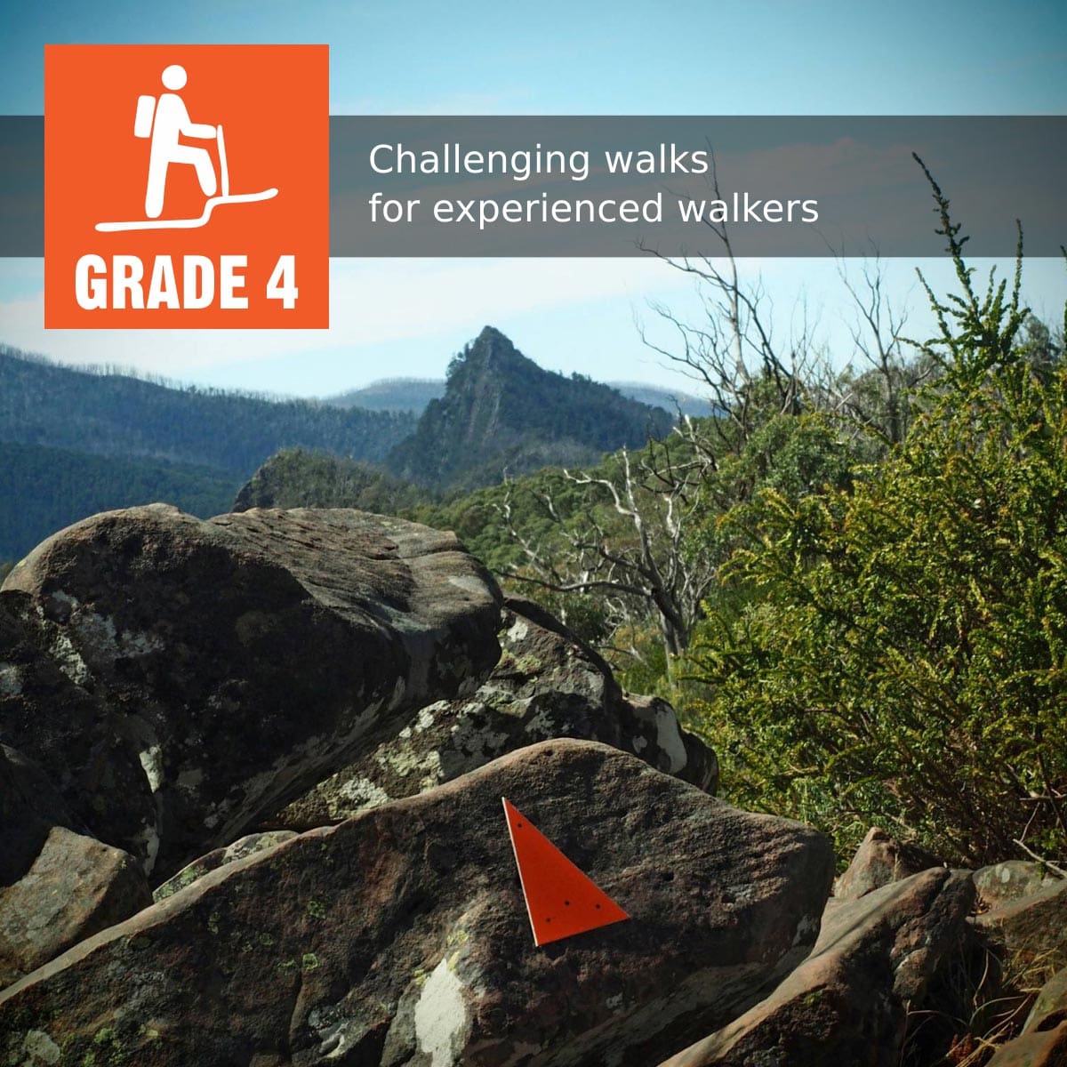 Grade 4 (hard) walking track