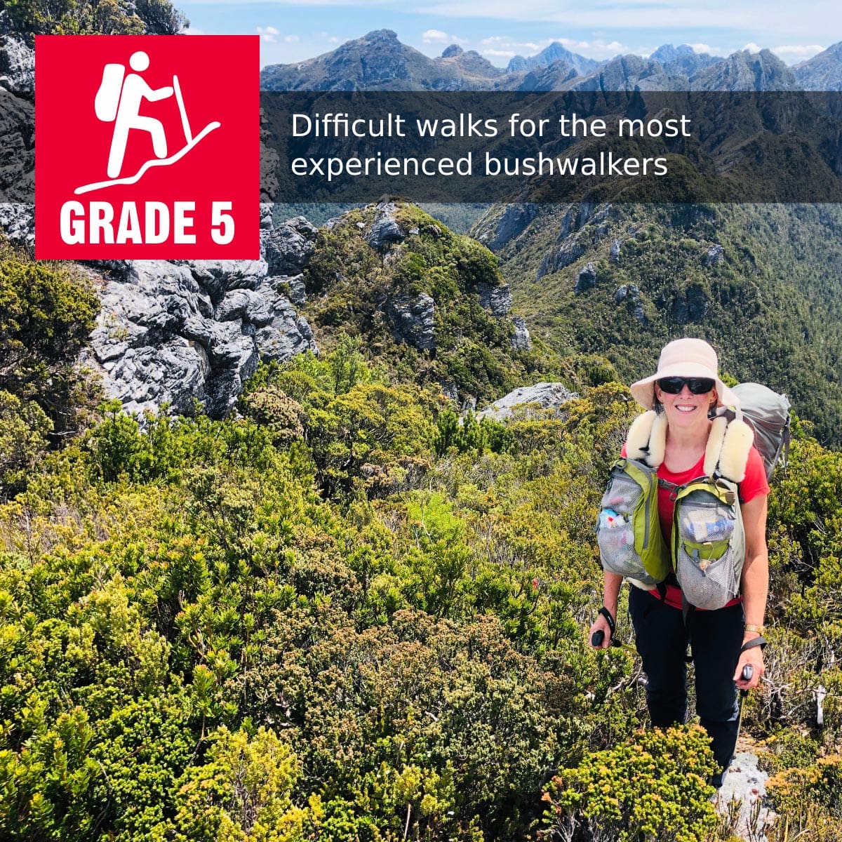 Grade 5 (difficult) walking track