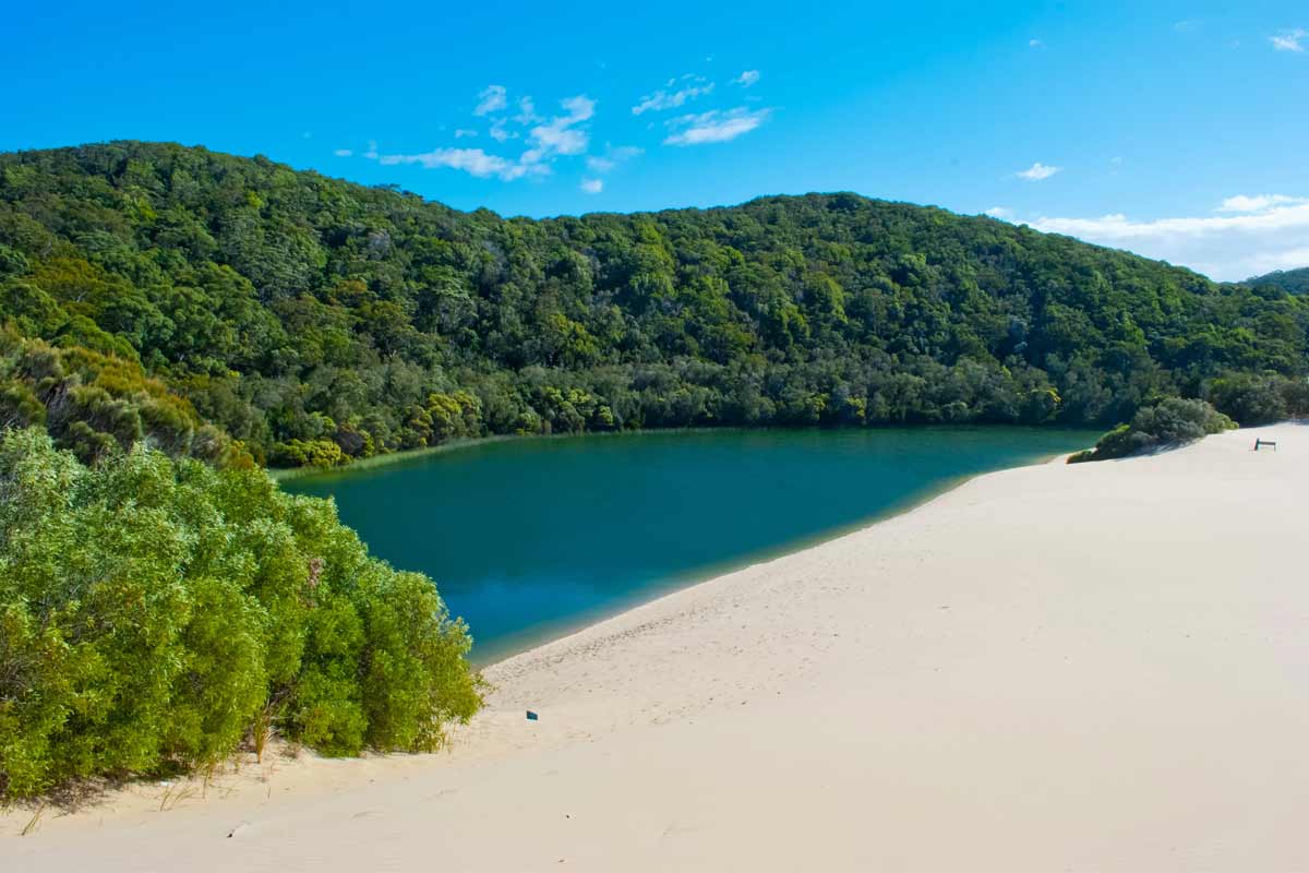 K’GARI (FRASER ISLAND) GREAT WALK K’gari (fraser island) great walk