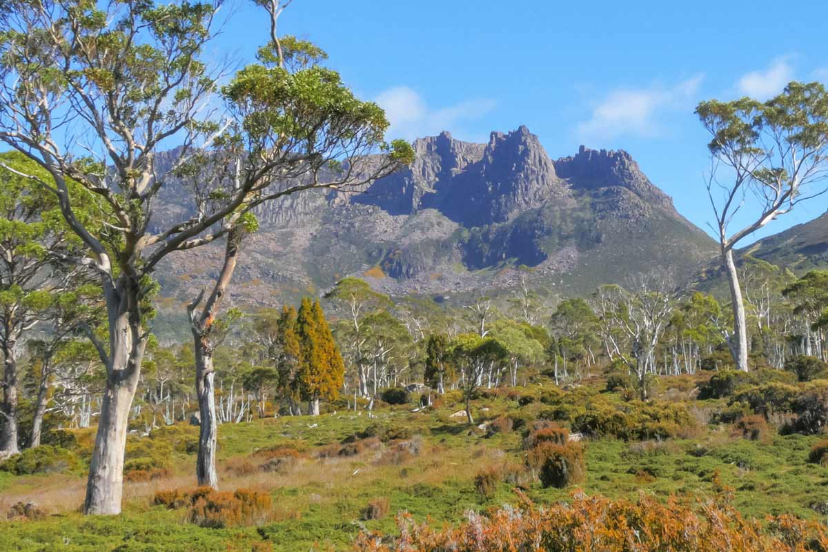 Overland Track Overland track