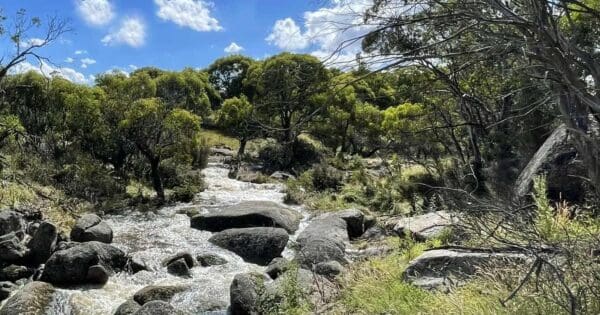Rendezvous Creek Walk Rendezvous creek walk