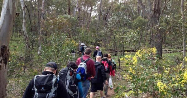 Three creeks walk brisbane ranges
