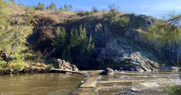 Uriarra loop walk