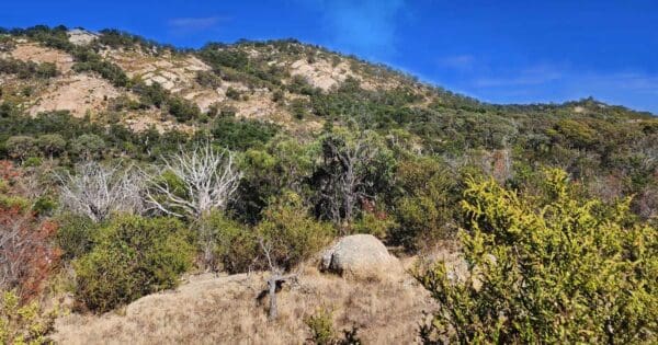 You yangs northern range circuit