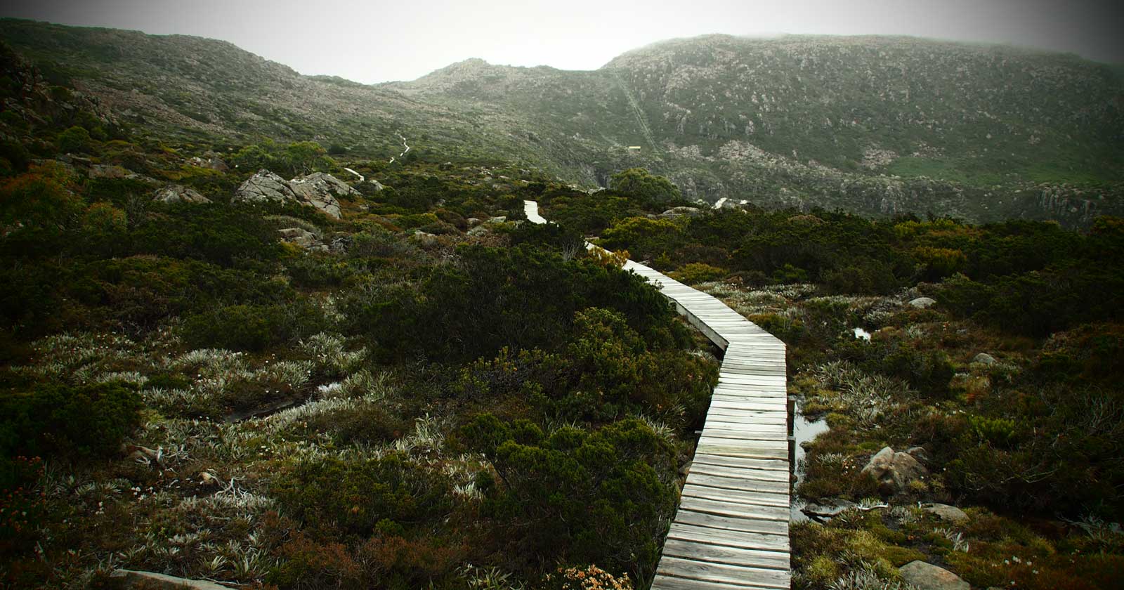 Mount Field National Park: Discover Tasmania's Allure A connection to the past