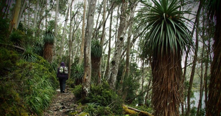 Australia's hiking and bushwalking blog