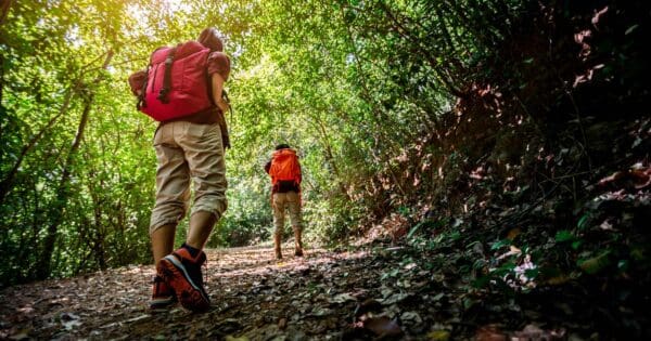 Circuit, return or one-way hikes