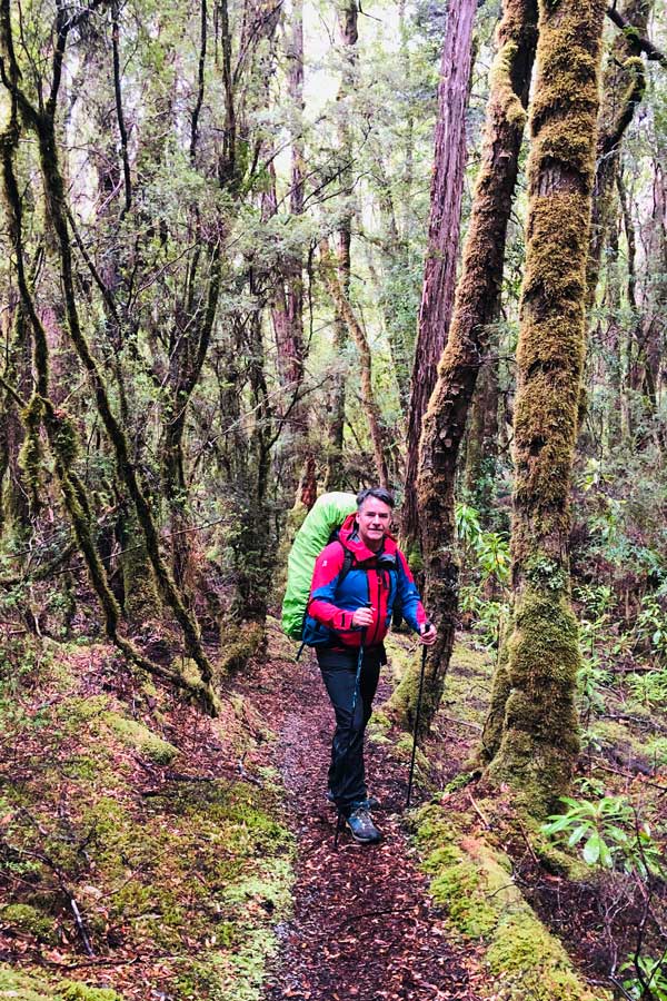 Darren-Edwards-walking-through-forest Image of darren walking through forest