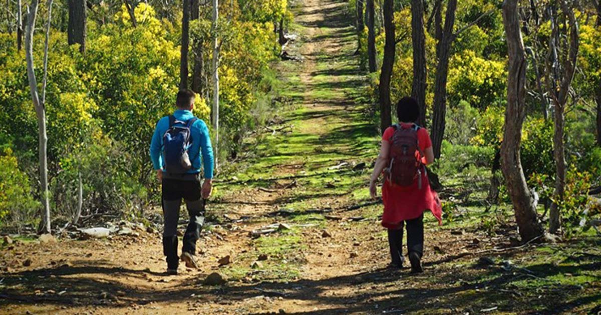 2 people on a day hike in the australian bush