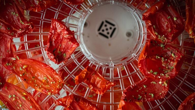 Dehydrating food for hiking: benefits, limitations and planning considerations