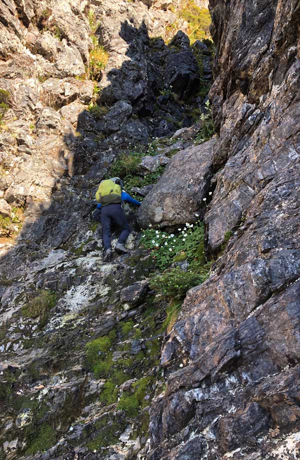 Descending-Tilted-Chasm Image of julie descending tilted chasm